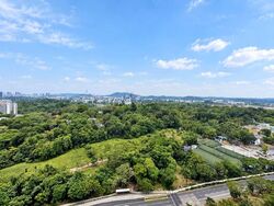 Pinetree Hill (D21), Condominium #614700851